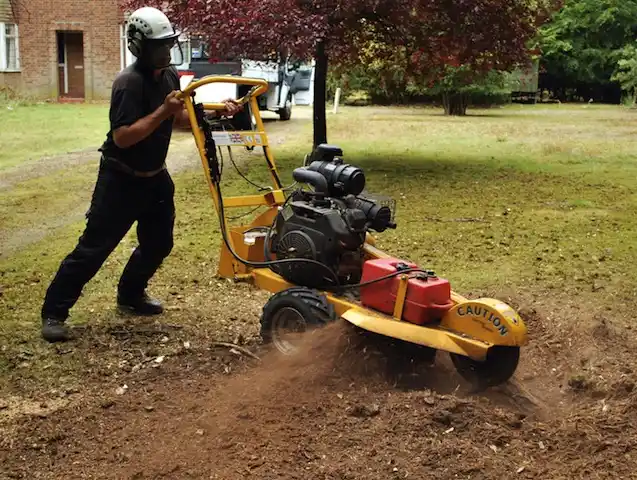 tree services North Highlands
